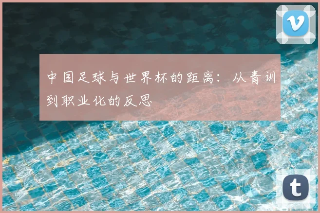 中国足球与世界杯的距离:从青训到职业化的反思